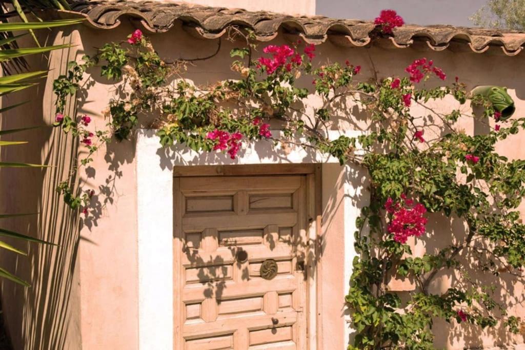קאנייס Sitges Hill Retreats-Masia Nur 22 Bedrooms Divided Over 9 Houses For Max 44 Guests מראה חיצוני תמונה